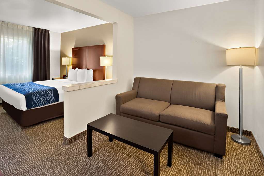 Comfort Inn Lacey Olympia - photo 28