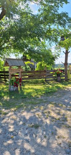 Po Nendriu Stogu in Siauliai, Lithuania