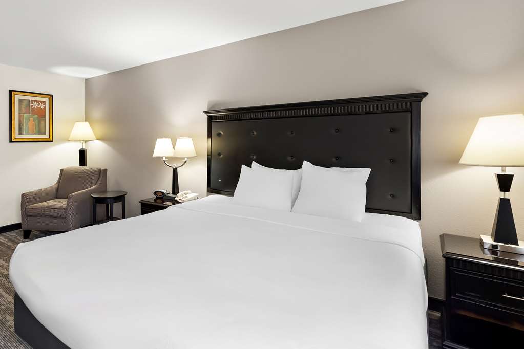 Best Western Saluki Inn - photo 23