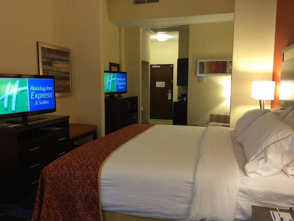 Holiday Inn Express Hotel & Suites Columbia Univ Area Hwy 63 by IHG - photo 5