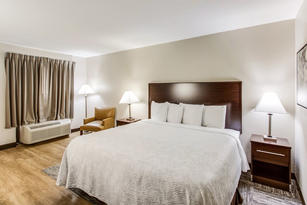 Red Roof Inn PLUS Dallas Addison - photo 10