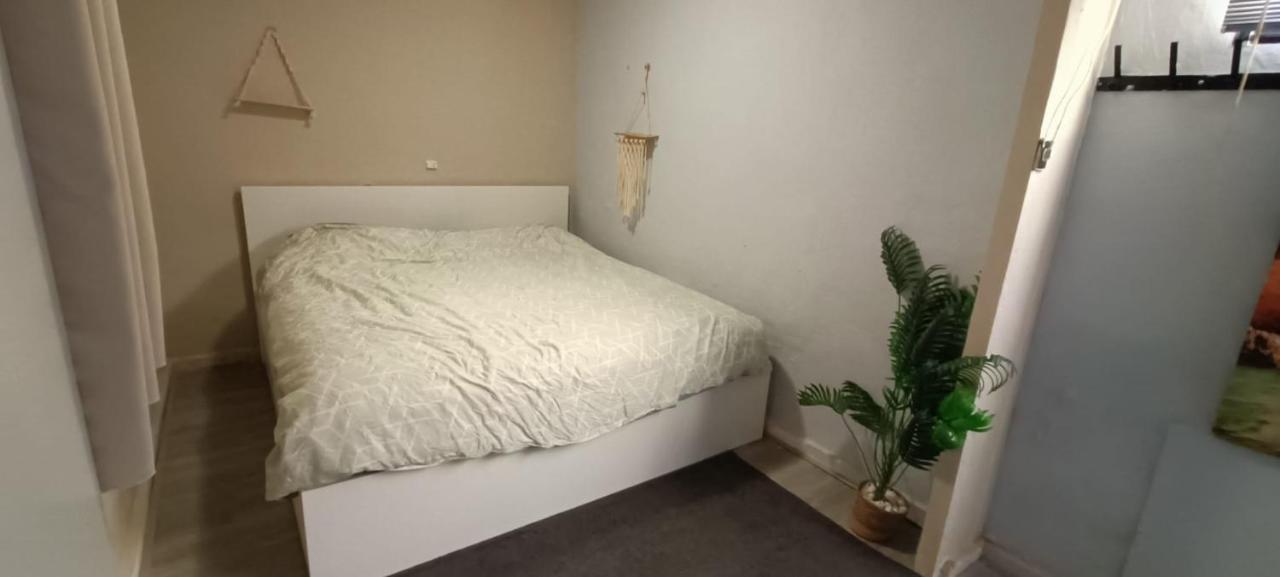Muy Bien - carbon neutral hotel in San Javier