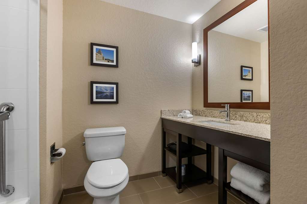 Comfort Inn & Suites Cedar Rapids CID Eastern Iowa Airport - photo 22