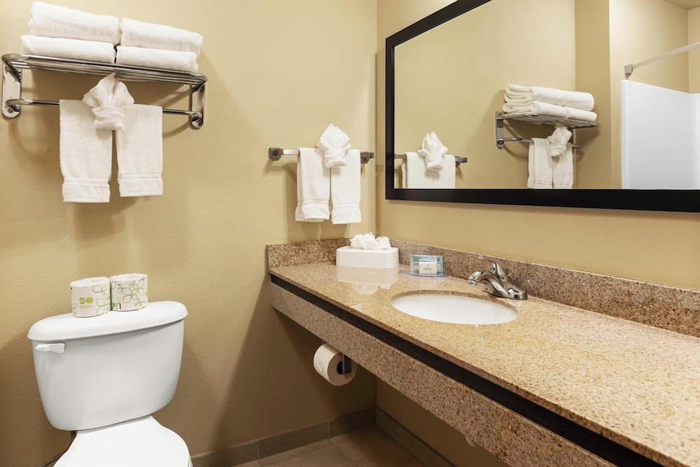 Cobblestone Hotel & Suites Knoxville - photo 28