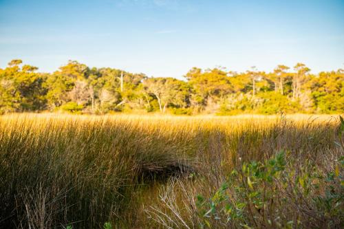Beach 45 by Oak Island Accommodations - photo 49