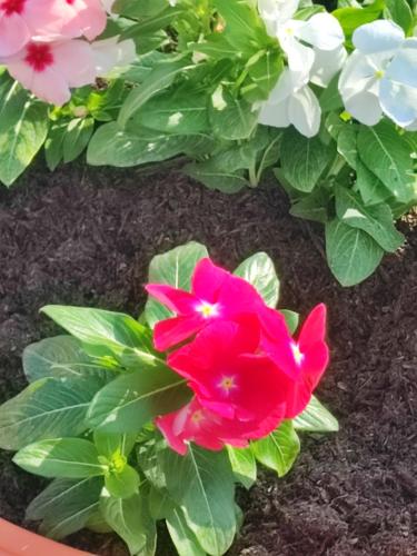 Da George - carbon neutral hotel in Terni