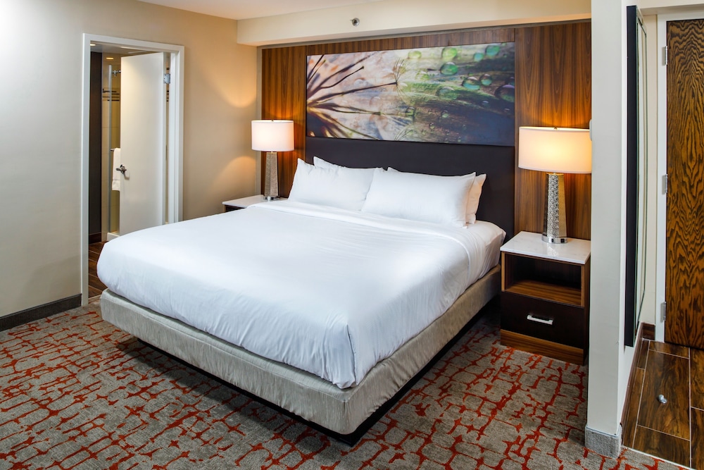 DoubleTree by Hilton Appleton - photo 5