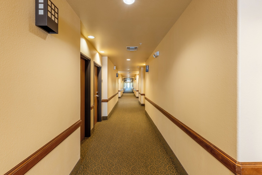 Hotel Texas - photo 37