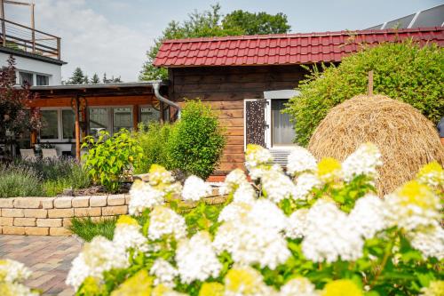 Spreewald Pension Tannenwinkel — 4-Star Luxury Hotel in Luebbenau, Germany