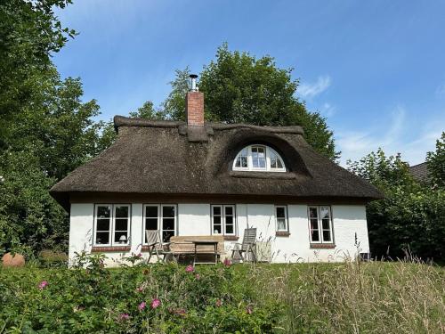 Kate unter Reet im Grünen in Buchholz, Germany