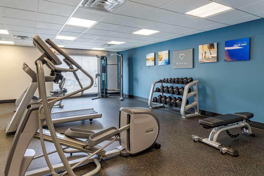 Comfort Suites Near Sam Houston Race Park - photo 16