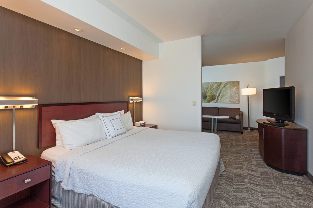 SpringHill Suites by Marriott El Paso - photo 9
