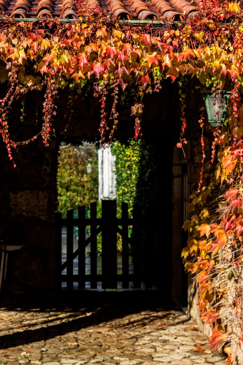 Quinta Da Roseira in Ponte De Lima, Portugal