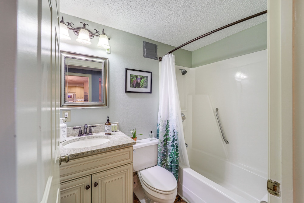 Vacation Rental 3 Mi to Sugar Mountain Resort - photo 23
