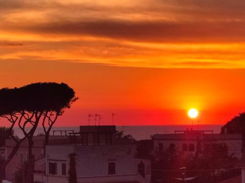 Anzio paradise — Anzio — photo 5
