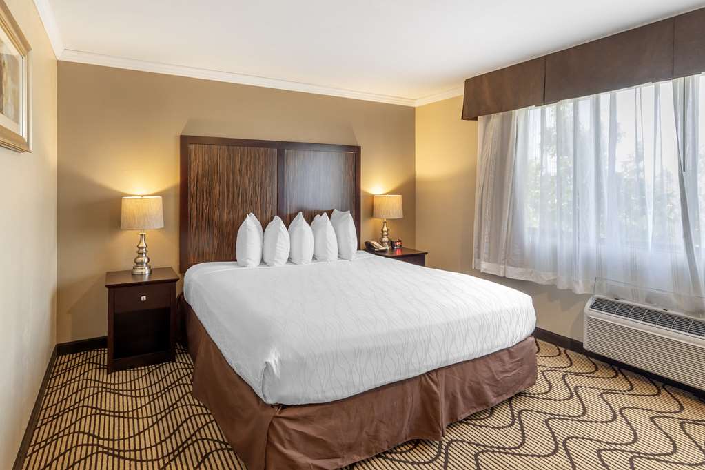 Best Western Plus Orchid Hotel & Suites - photo 54