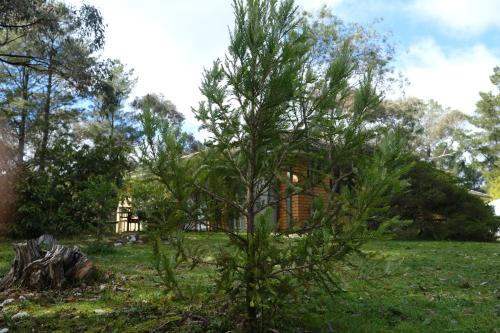 Sequoia Lane — carbon neutral stay, Daylesford