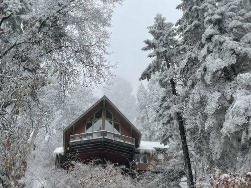 Sweet getaway in private Giant Sequoia Grove — hotel in Springville