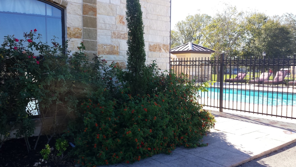 Black Gold Inn - photo 46