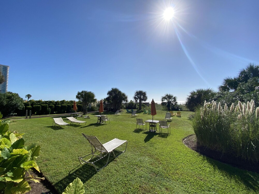 Meridian Plaza by Palmetto Vacations - photo 31