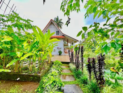Pondok Is Oke Villa Scenic View — 4-Star Luxury Hotel in Banyuwangi, Indonesia