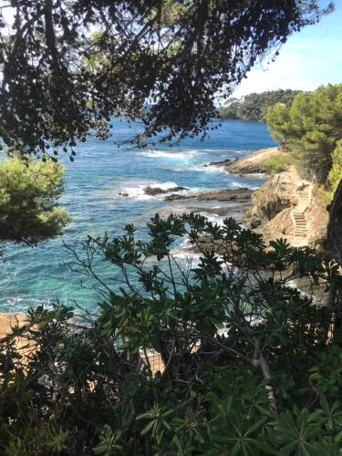 Salines de Giens