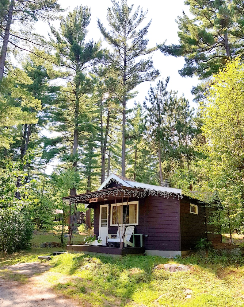 The Wilderness Inn - photo 15