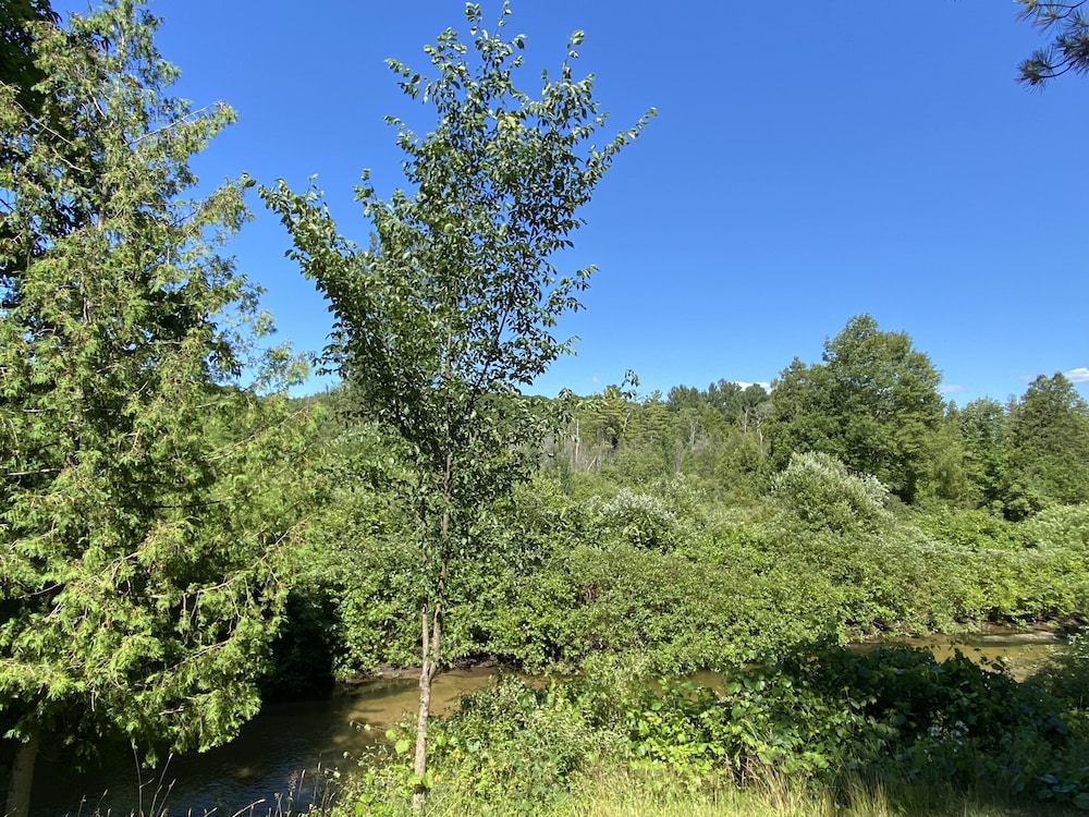 Betsie Riverside Resort - photo 141