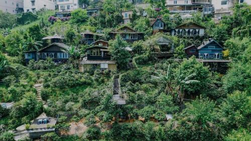 Cú Trên Cây Homestay — 5-Star Luxury Hotel in Da Lat, Vietnam