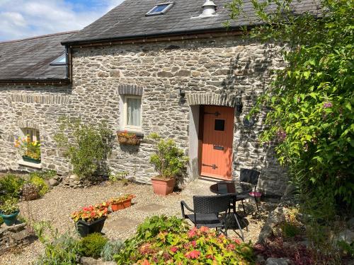 Coedmor Cottages — Lampeter — photo 3