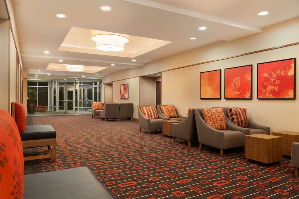 Hyatt Place Houston The Woodlands - photo 36