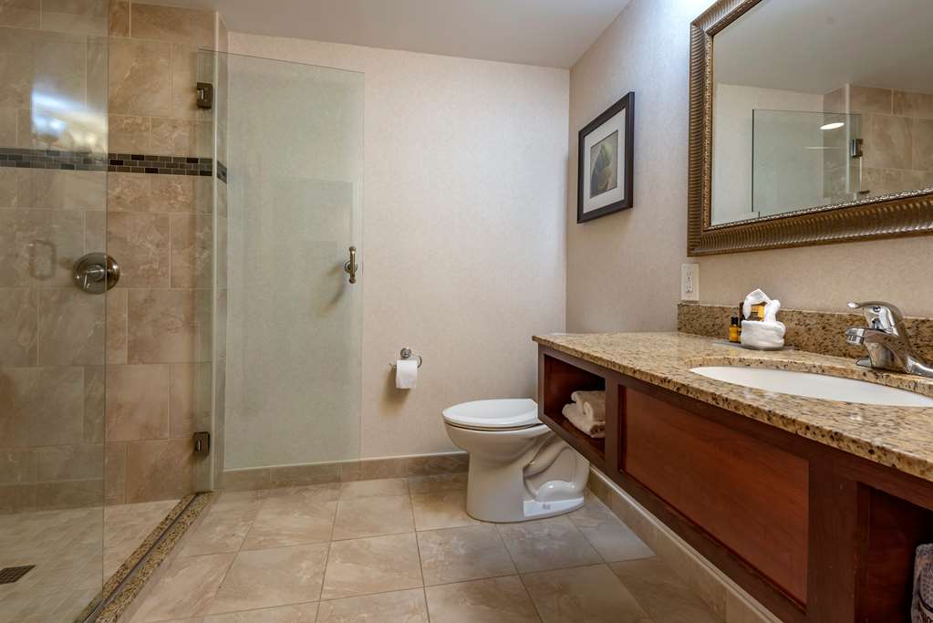Best Western Plus Oswego Hotel and Conference Center - photo 48