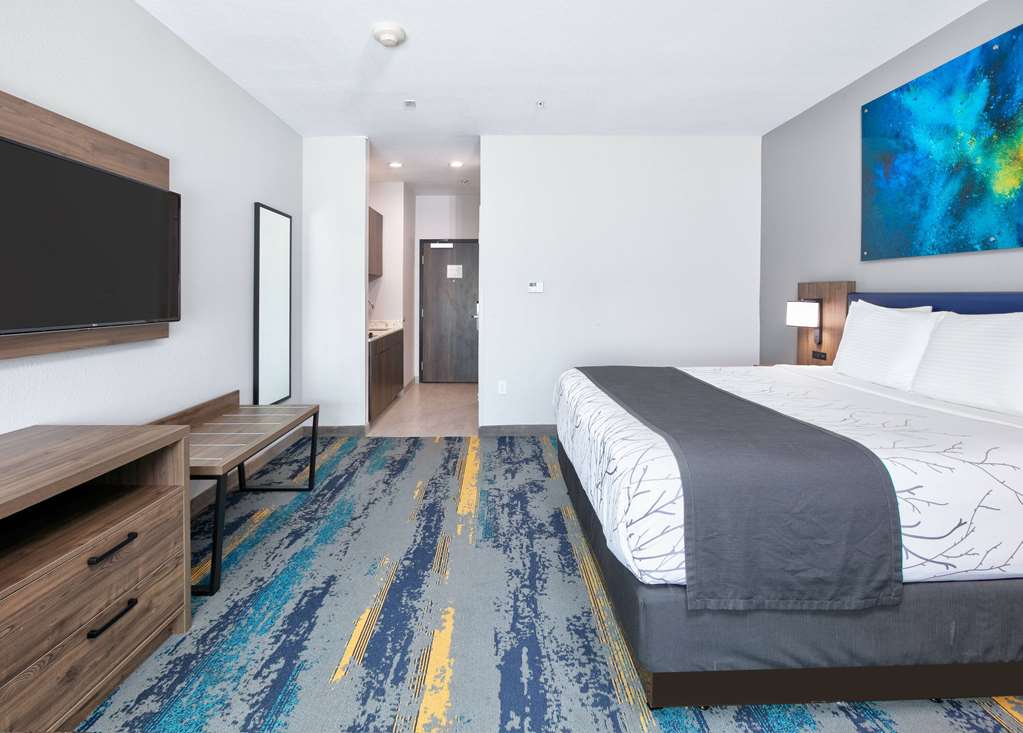 La Quinta Inn & Suites by Wyndham Dallas Fairpark - photo 48