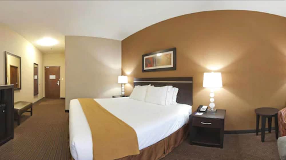 Holiday Inn Express Hotel & Suites LAMAR by IHG - photo 12