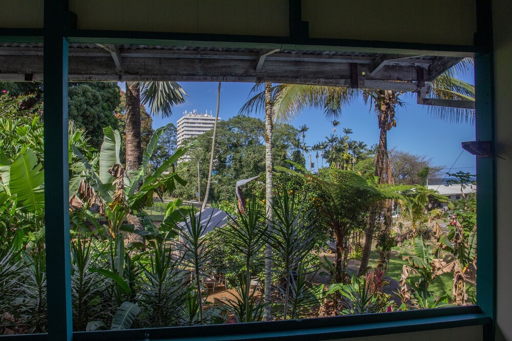 Wild Ginger Inn Hotel - photo 40