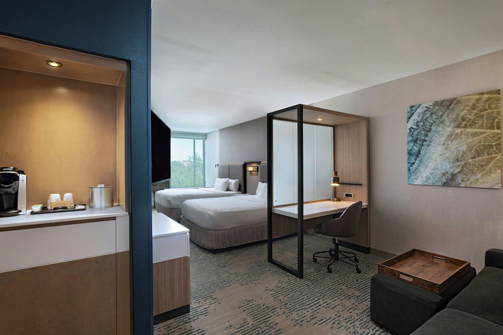 SpringHill Suites by Marriott Austin Cedar Park - photo 9