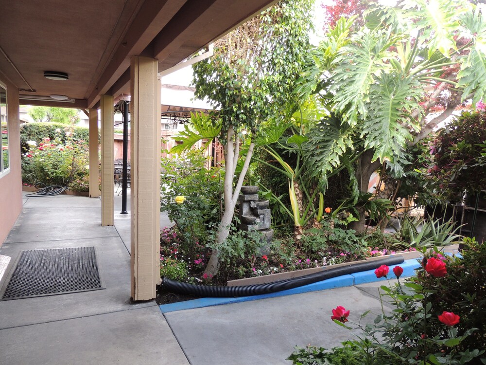 Pacific Inn of Redwood City - photo 72