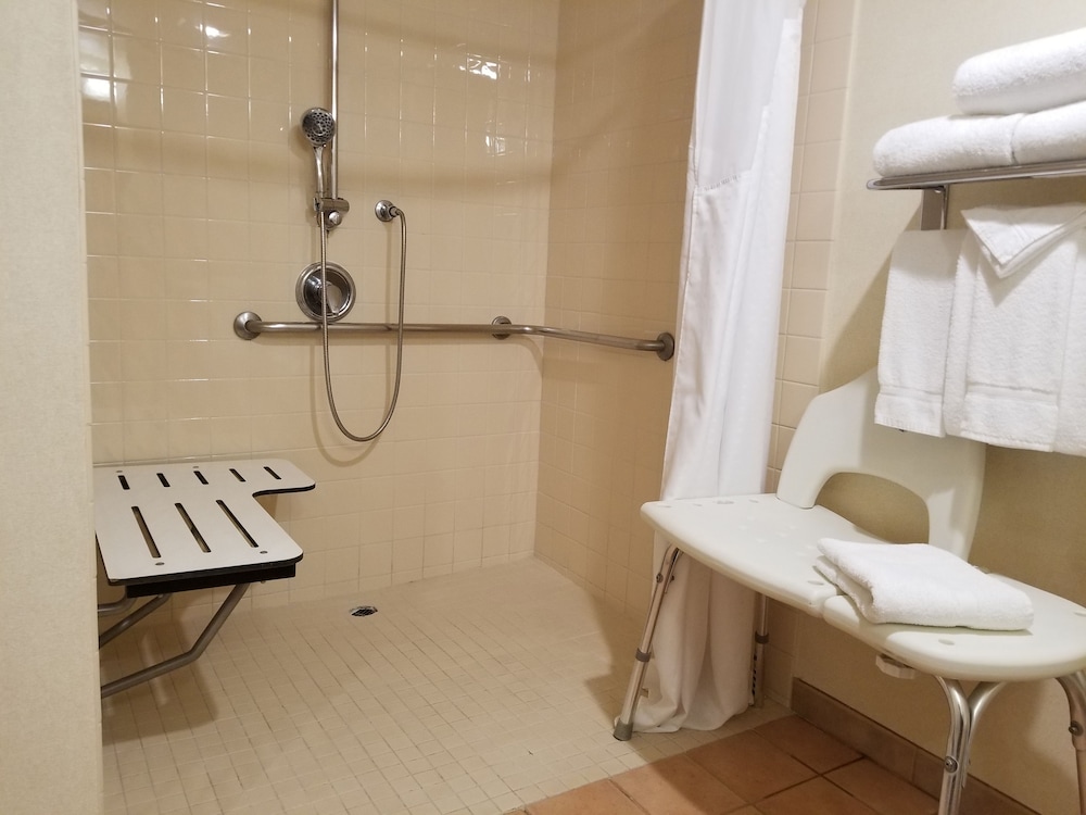Holiday Inn Hotel & Suites Anaheim by IHG - photo 17