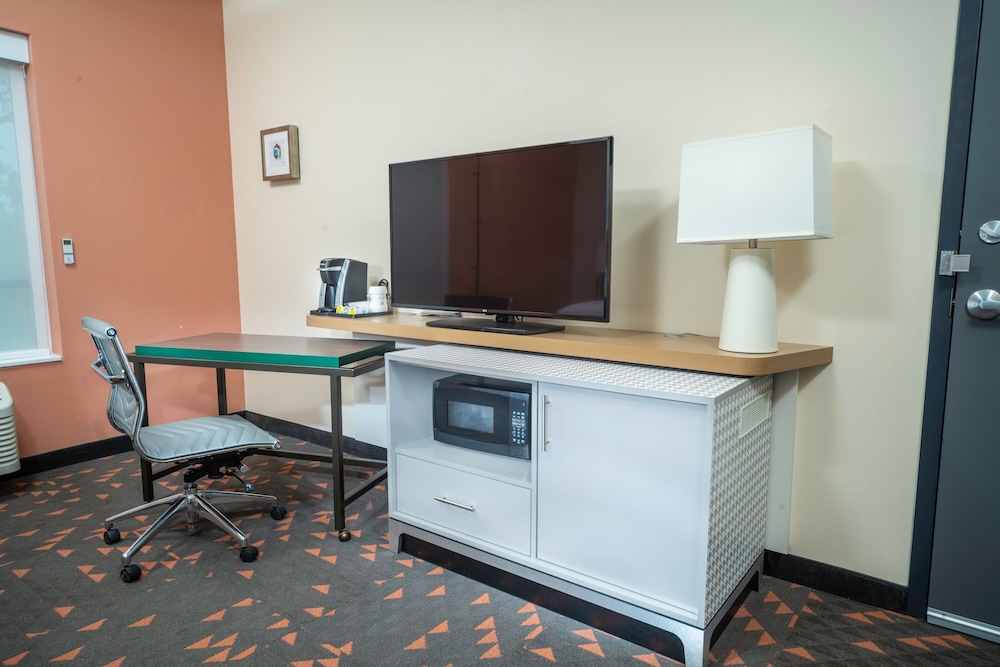 Holiday Inn St. Louis Creve Coeur - photo 9