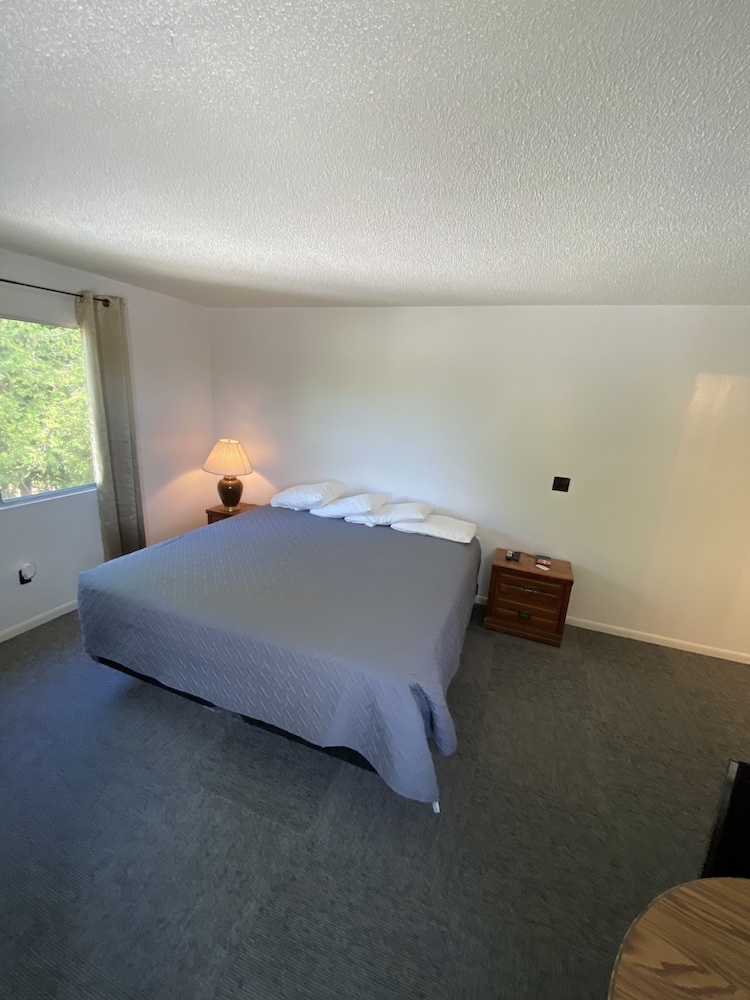Villa Moderne Motel - photo 10