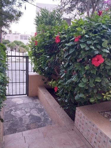 Kings Apartment with private Garden