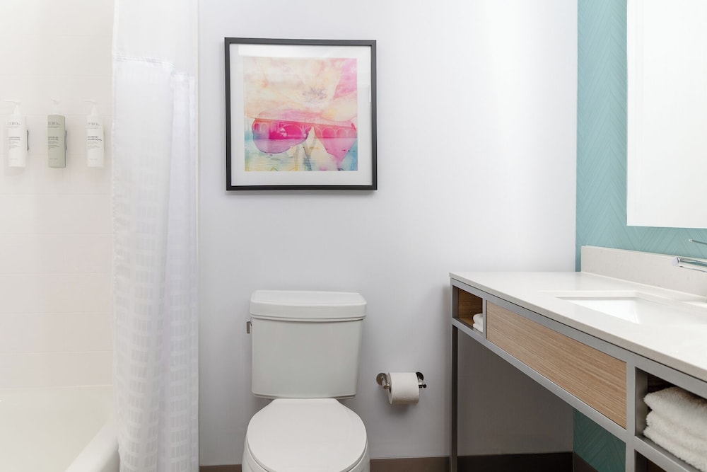 Hilton Garden Inn Hanover Arundel Mills BWI Airport - photo 23
