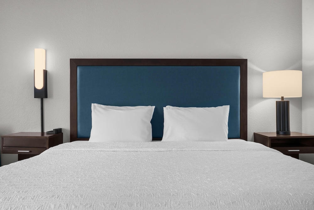 Hampton Inn Memphis Southaven - photo 10