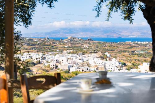 Elysium — Naxos — photo 4