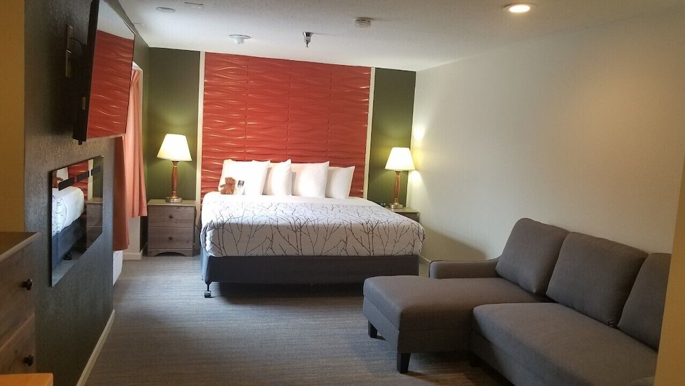 Roosevelt Inn Mount Rushmore - photo 44