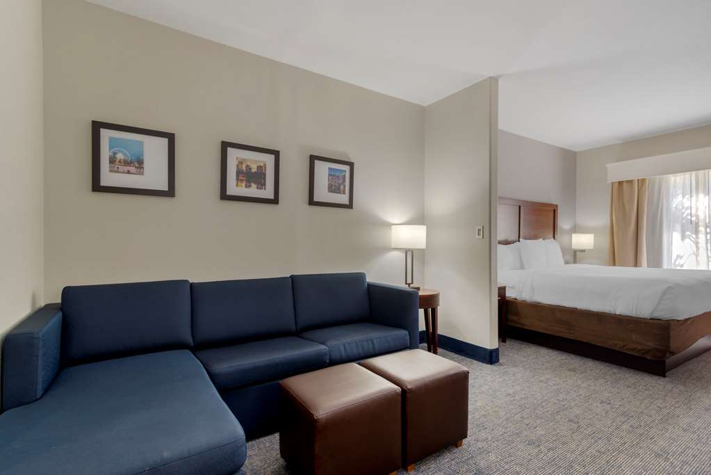 Comfort Suites Stockbridge Atlanta South - photo 20