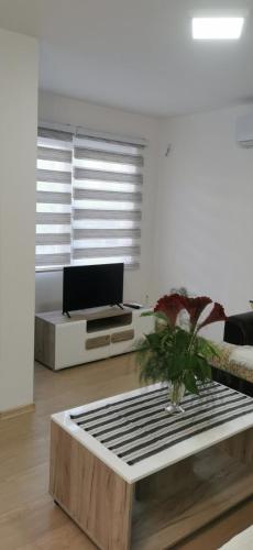 Apartman Mani in Visegrad, Bosnia and Herzegovina