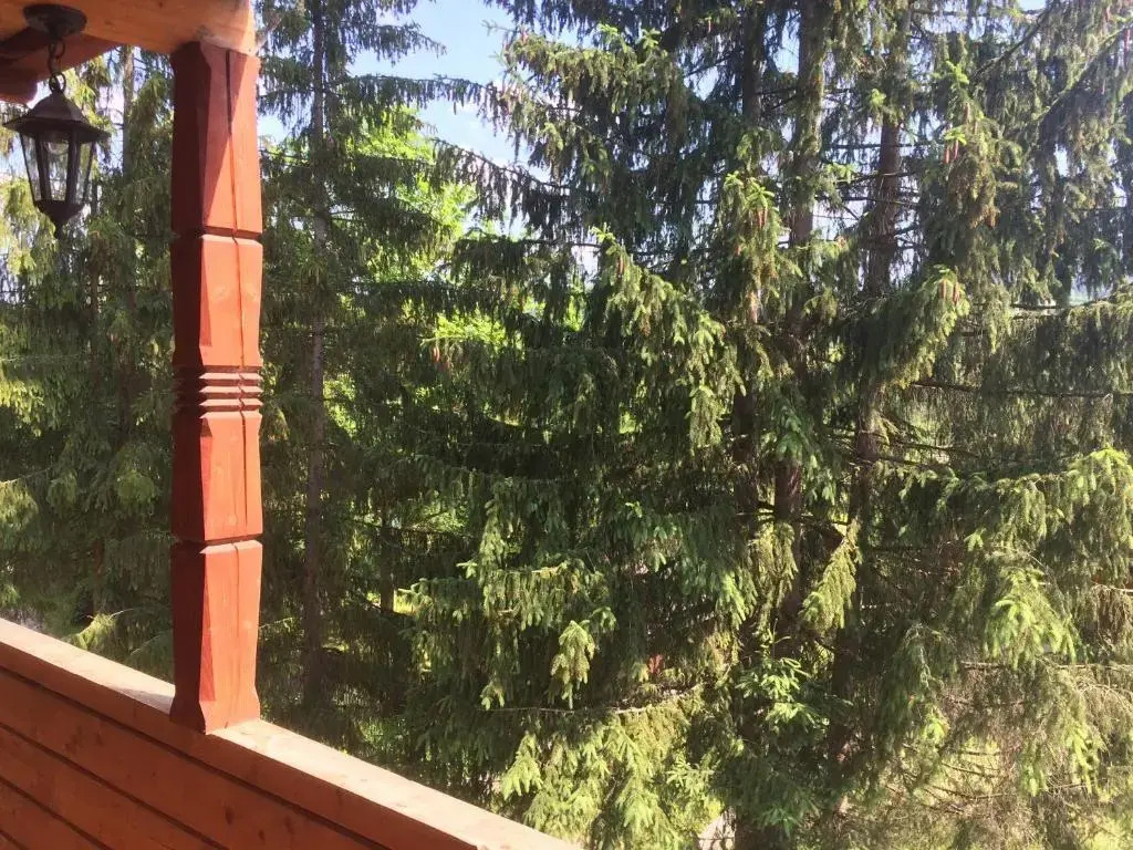 Villa PidStromom — Nadvirna — photo 4