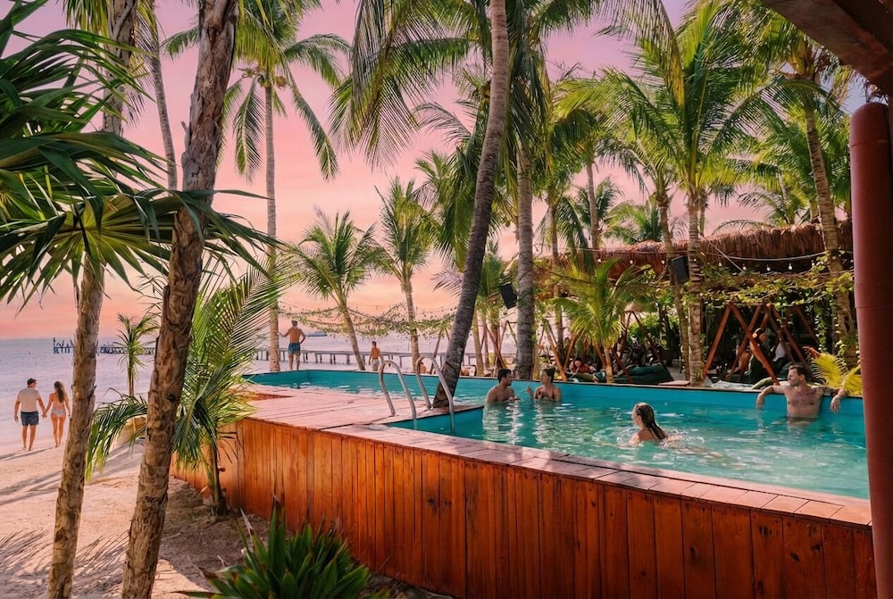 Mayan Monkey Isla Mujeres Social Hotel in Isla Mujeres, Mexico