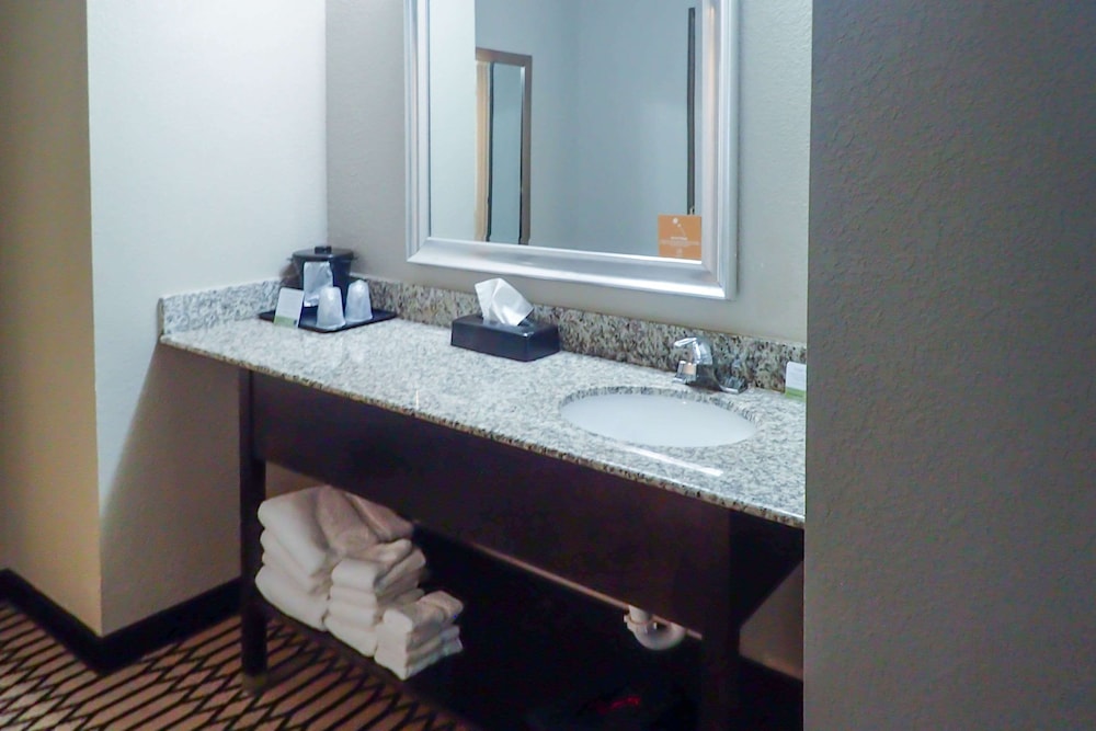 Sleep Inn & Suites BWI Airport - photo 59